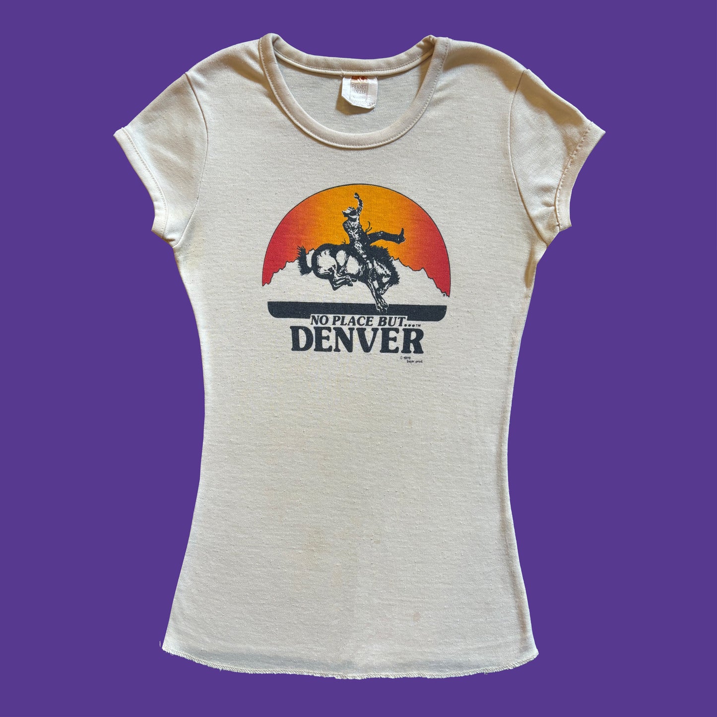 Vintage 1970s Tourist Destination T Shirt Denver Cowboy