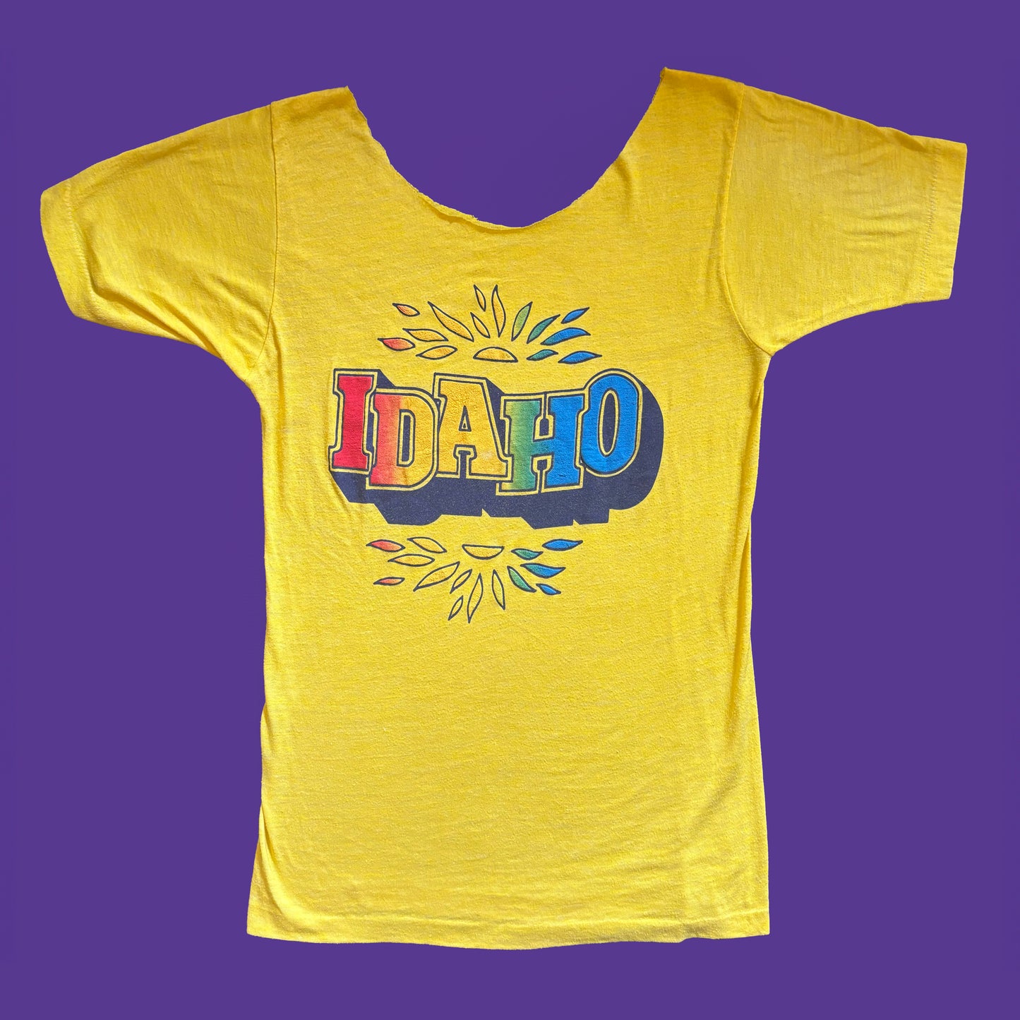 Vintage 1970s Tourist Destination T Shirt Idaho
